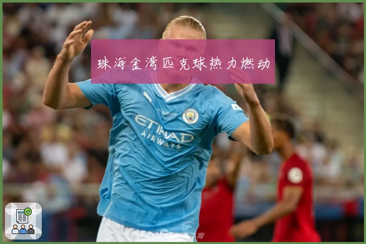 珠海金湾匹克球热力燃动