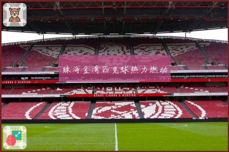 珠海金湾匹克球热力燃动